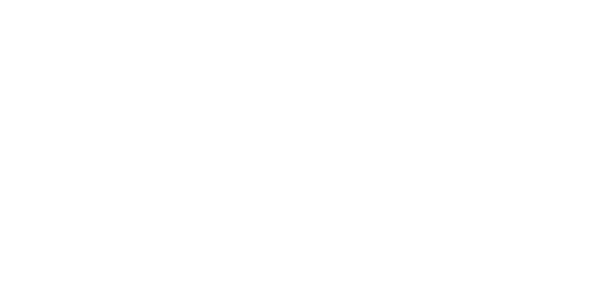 Vision Mission and Values